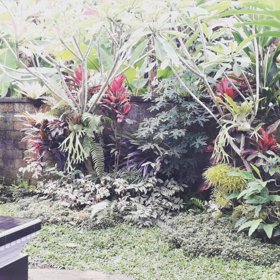 D'SARI UNDISAN Houses Bangli Luaran gambar