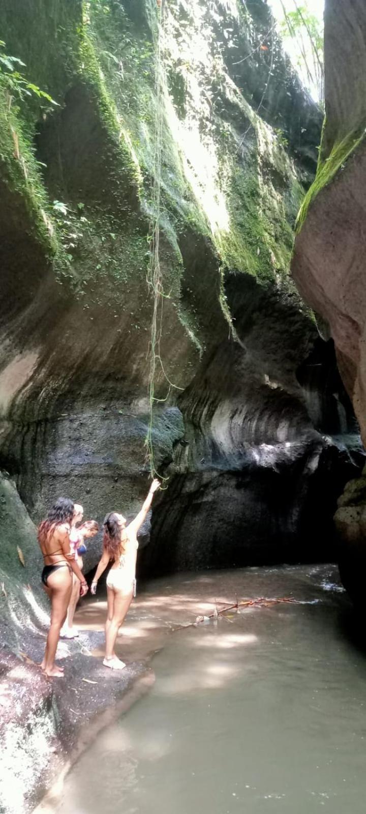 D'SARI UNDISAN Houses Bangli Luaran gambar